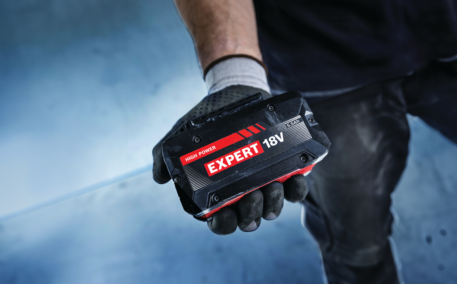 Početni set EXPERT 2x akumulatora EXBA18V-55 + GAL12V/18V-80 - Slika 2